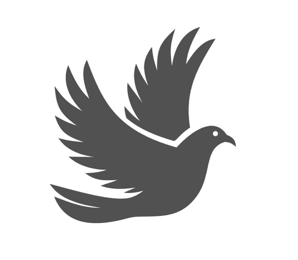 Kyyhkynen-ikoni